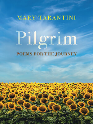 cover image of Pilgrim